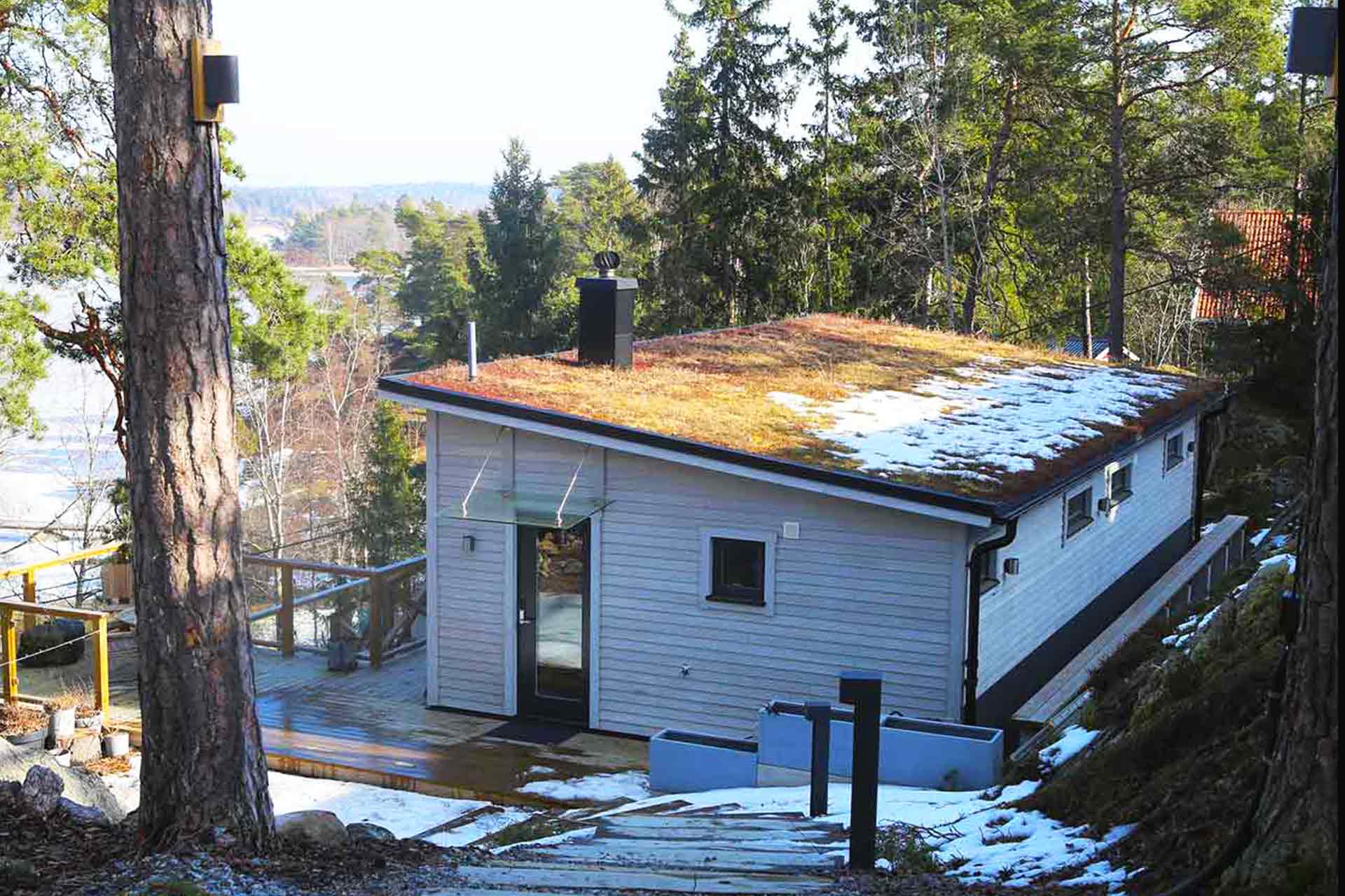 Sedum växer på taket till attefallshuset ritat av arkitekt Anders Frelin. I bakgrunden syns skogen och skärgårdshavet.